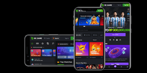 Everything You Need to Know About BC.Game Deposit -191324014